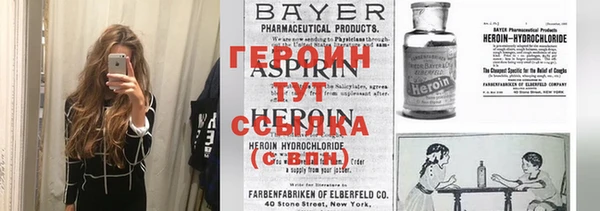 крисы Магас