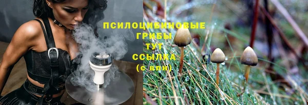 первитин Лиски