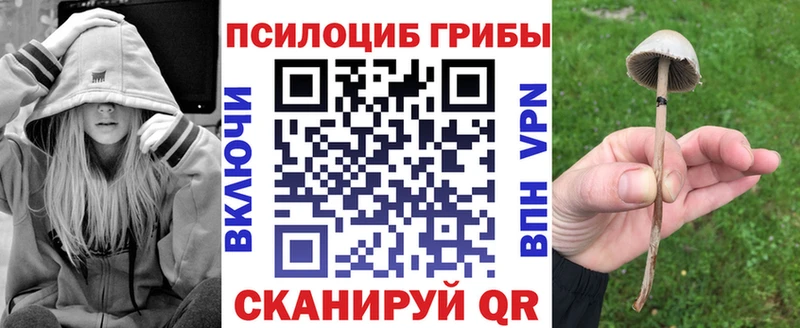 Купить где  Медногорск  Галлюциногенные грибы ЛСД 