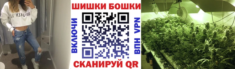 Купить где  Медногорск  Бошки Шишки SATIVA & INDICA 